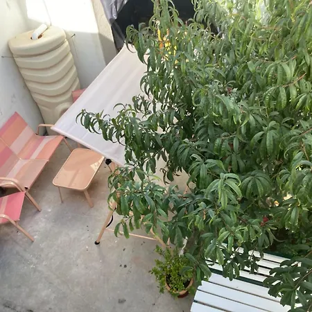 Ondas Atlantico Famalicão